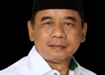 Ketua DPW PKB Banten Ahmad Fauzi