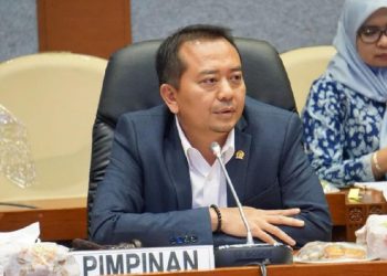 Wasekjen DPP PKB Syaiful Huda/Net