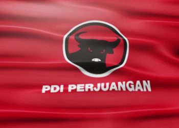 PDIP/Net