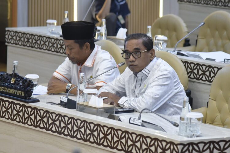 Anggota Komisi V DPR RI Ahmad Fauzi, saat Rapat Kerja Komisi V dengan Kementerian Perhubungan di Gedung DPR RI, Senayan, Jakarta, Kamis (8/5/2025)