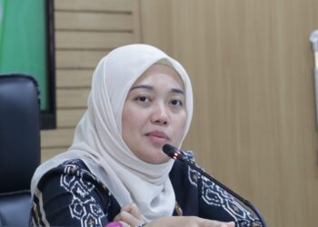 Anggota DPR RI asal Lampung Chusnunia